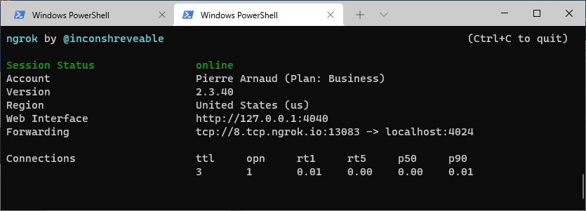 Terminal with running ngrok